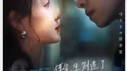 傅先生别追了大小姐是假的