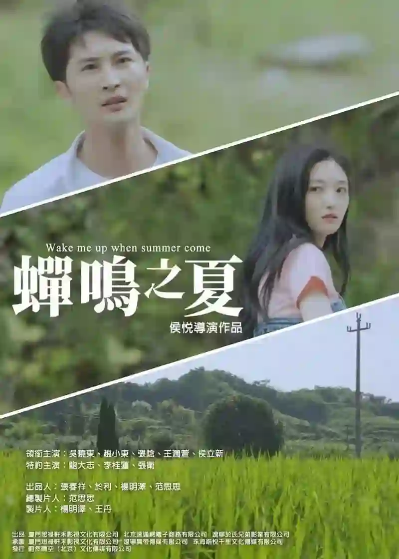 蝉鸣之夏
